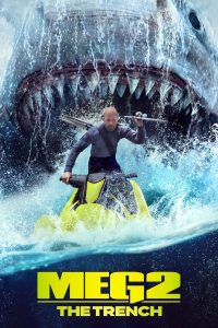 meg2-scaled.jpg